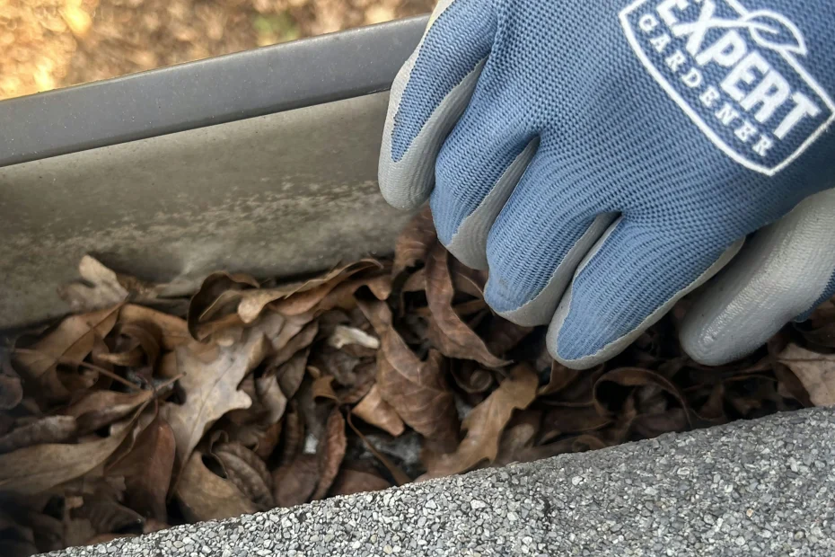 Gutter Cleaning Lincolnton