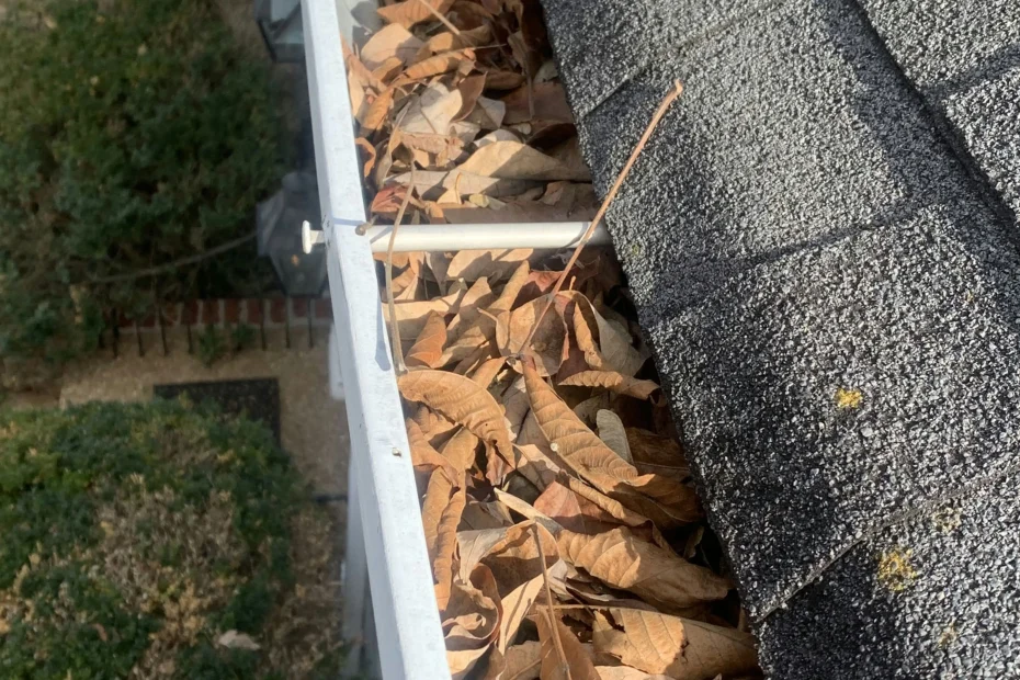 Gutter Cleaning Lincolnton