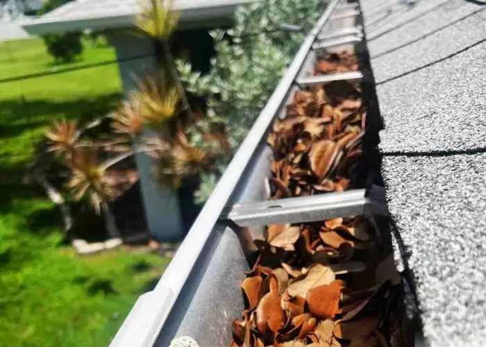 Gutter Cleaning Lincolnton home page